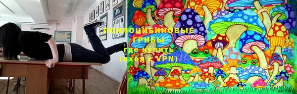 apvp Богданович