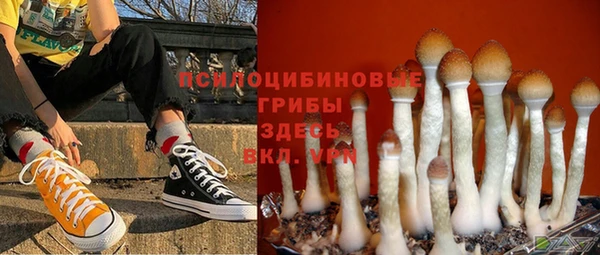хмурый Богородицк