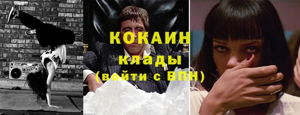 apvp Богданович