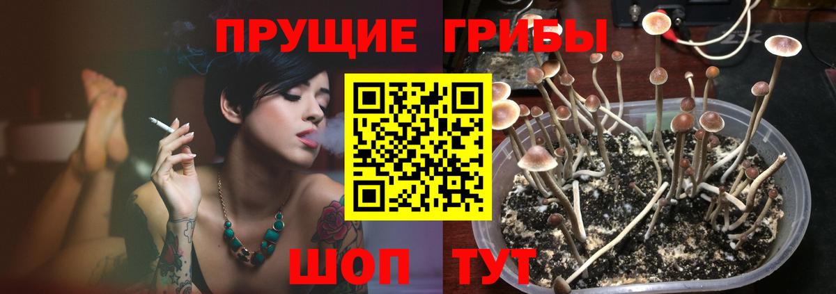 Галлюциногенные грибы Magic Shrooms  Вход с VPN  Среднеуральск 